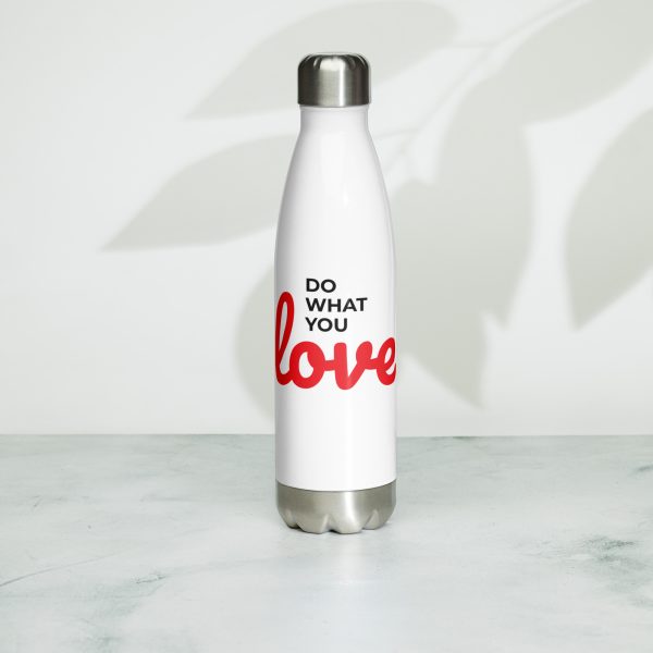 Stainless Steel Water Bottle