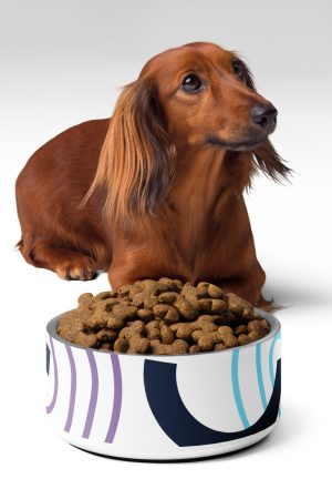 Pet bowl
